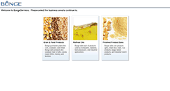 Desktop Screenshot of bungeservices.com
