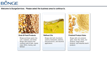 Tablet Screenshot of bungeservices.com